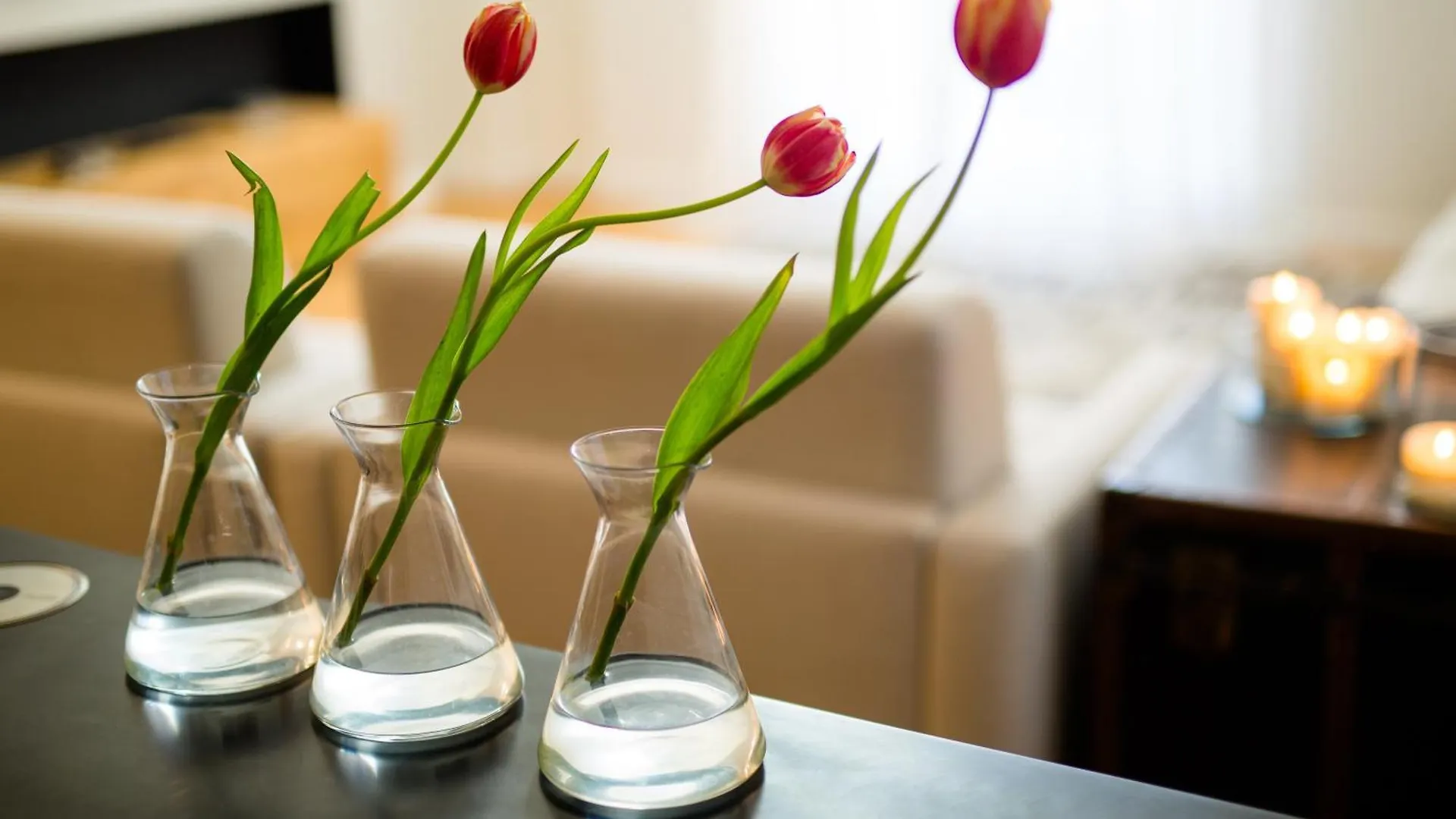 Ta - One Bedroom Luxury Apartment In The Fashion District Florence